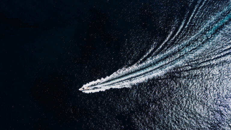 Read more about the article Class aptent taciti