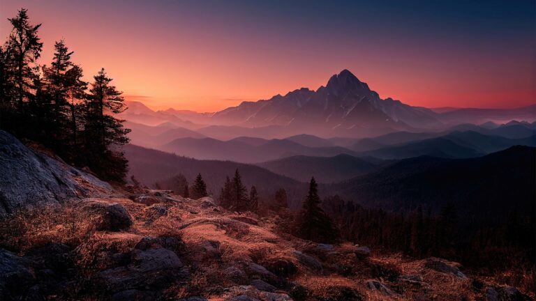 Read more about the article Maecenas mattis sed