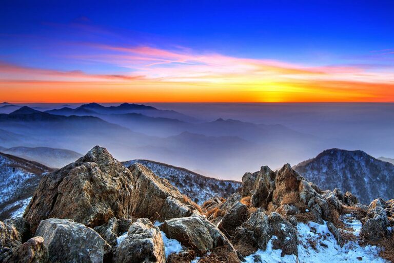 Read more about the article Fusce nec tellus