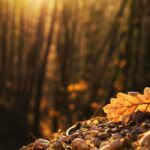 Capturing the Beauty of the Ocean with OceanWP Theme A Photography Demo